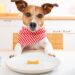 Dangerous human foods that dogs should never eat, including chocolate, grapes, onions, and cooked bones