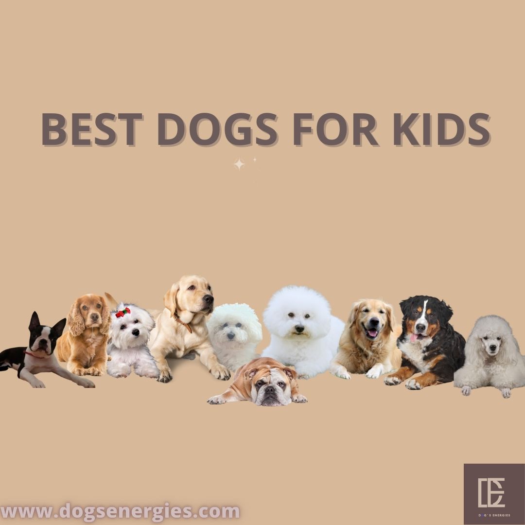 Best dogs for kids sitting with children in a family home