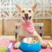 Human foods that are good for dogs – safe meat, vegetables, and fruits dogs can eat