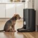 automatic dog feeder dispensing dry food for a small dog