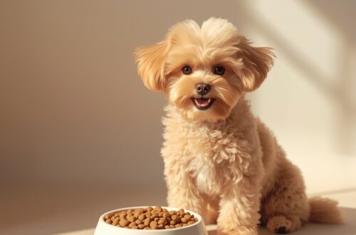 Cold pressed dog food in a bowl healthy nutrition for dogs
