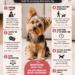 Things dogs hate that owners do every day small breed dog behavior mistakes explained
