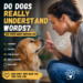 Woman talking to a golden retriever while the dog carefully watches her and reacts to human emotions and tone of voice