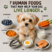 Healthy human foods that may help support a dog's long term health including sardines, pumpkin, eggs, blueberries, carrots, kefir, and salmon.