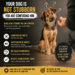 Dog looking confused at owner with text saying your dog is not stubborn but confused due to inconsistent training