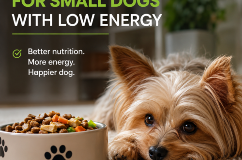 Small low energy dog lying next to a bowl of healthy dog food