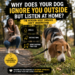 Dog ignoring owner outside while listening perfectly at home