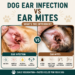 Comparison between a dog ear infection and ear mites showing the key visual differences, symptoms, and warning signs in a dog's ears.