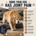 Golden Retriever slowly standing up from a dog bed, showing early signs of joint pain.