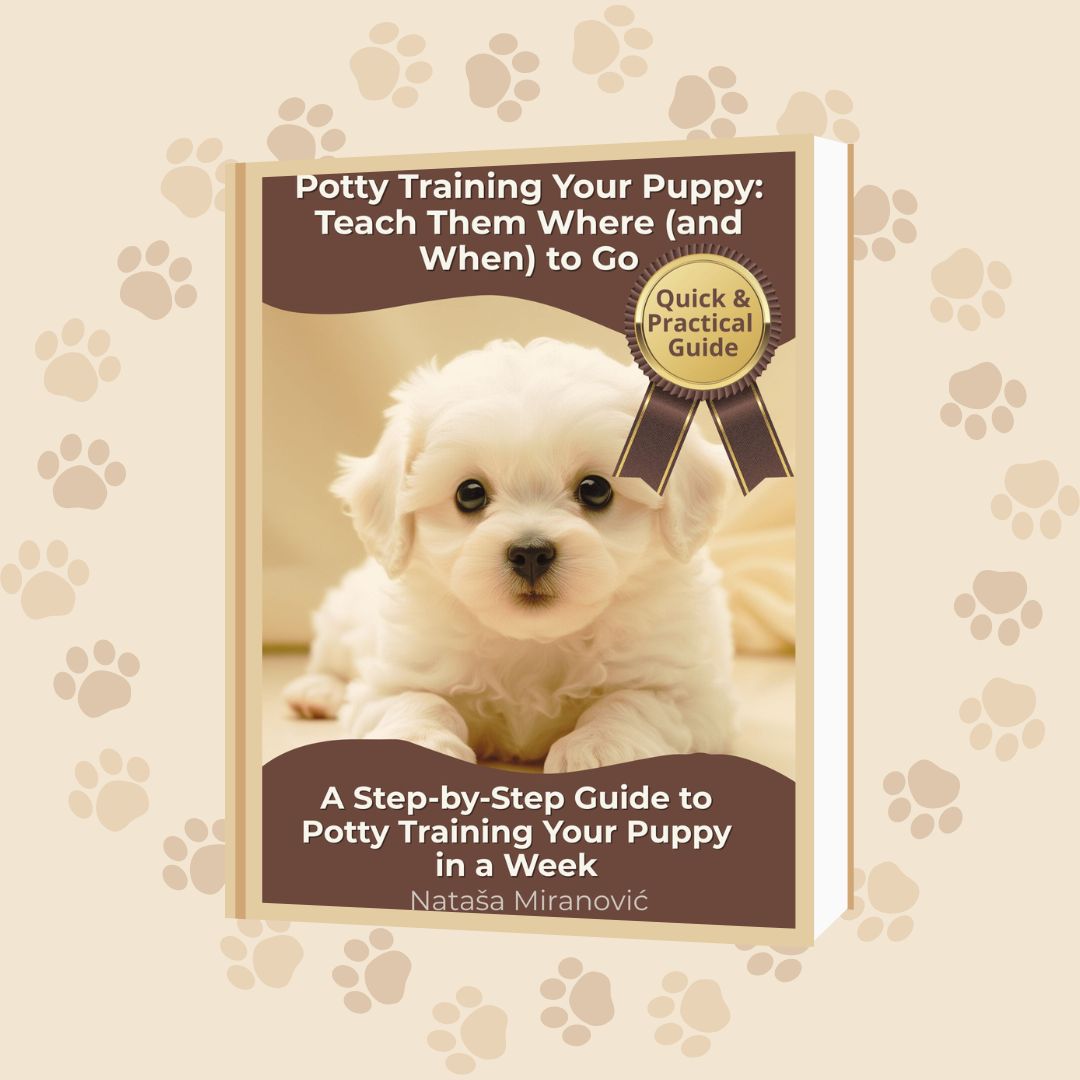 Potty Training for Puppies: Teach Your Dog Where and When to Go